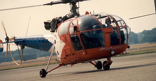 1989-07 Grasshoppers2.jpg